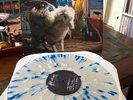 Fall Out Boy Infinity On High 2xLP   Hot Topic LIMITED 2k copies Splatter