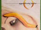 A Perfect Circle Thirteenth Step Vinyl LP ULTRASONICALLY CLEANED