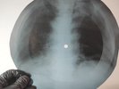 VELVET UNDERGROUND VENUS IN FUR X-Ray USSR Record Roentgen Bone Ribs Music Vinyl
