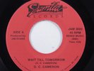 Modern Soul 45 G.C. CAMERON Wait Till Tomorrow JAMILA NM HEAR m