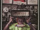 LEE 'SCRATCH' PERRY PRESENTS - DISCO DEVIL Vol.2 NEW  test press