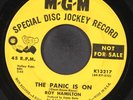 ROY HAMILTON: the panic is on MGM 7