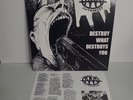 Against All Authority - Destroy What Destroys You - Vinyl LP Punk First Ska