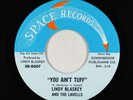 Garage Psych Fuzz 45 - Lindy Blaskey & Lavells - You Ain't Tuff - Space VG++