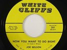 Joe Wilson 