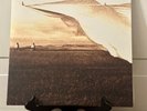 Neil Young Prairie Wind Reprise Records 12