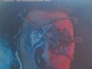 Vinyl 12