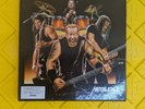Metallica  live picture disc vinyl LP