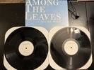 Sun Kil Moon - Among The Leaves Vinyl Films 2LP First Press On Black Vinyl