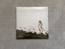 Kacey Musgraves Deeper Into The Well Green Liquid - Bad World Vinyl