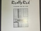Teaching You The Fear by Really Red Vinyl LP First Pressing VG++ PUNK HARDCORE