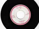 ROCKS ''ROCKS OFF''/FEEL LIKE ROCKIN' USED 45RPM
