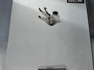 DANIEL CAESAR PILGRIM'S PARADISE SECONDTRACK EXCLUSIVE LE VINYL | FAST SHIP