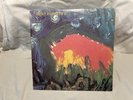 Meat Puppets 2 II Vinyl 1983 SST Records
