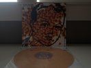 Sponge - Rotting Piñata LP On Flaming Colored Vinyl Grunge Rock # /1500