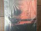 Joji Piss In The Wind Vinyl LP Record Signed Autographed Cover New Rare IN HAND