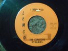 THE EXPLOSIVE DYNAMIKS - WHOLE LOTTA LOVE- RARE LEMCO SOUL 45-1005