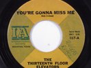 Garage Psych 45 THIRTEENTH FLOOR ELEVATORS You're Gonna Miss Me IA HEAR o