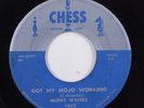 Blues 45 MUDDY WATERS Got My Mojo Working CHESS o