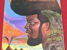 Vinyl LP* Buddy Miles ‎– A Message To The People (1971) * US Pressung