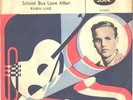 ROBIN LUKE-DANISH PICTURE SLEEVE + 45--(BAD BOY)--PS--PIC--SLV