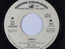 Sweet Soul 45 NEW YORKERS Lonely/There'll Come A Time on Warner Bros VG++ promo