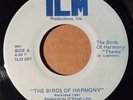 BIRDS OF HARMONY theme ILM 001 mega-rare 45 black gospel MODERN SOUL FUNK boogie