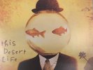 Counting Crows This Desert Life LP Album 1999 Geffen Records Rock