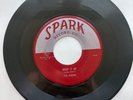 The Robins Riot in Cell Block #9 / Wrap It Up Spark 45 RPM Original R&B Doo Wop