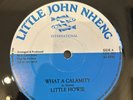 Little Howie - What A Calamity RARE Digi Roots Killer 12” Original
