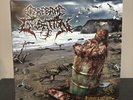 Cerebral Incubation - Asphyxiating on Excrement Pink Vinyl Record Death Metal