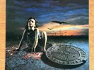 [EX] Steelheart - Tangled In Reins [ Rare 8 Tracks 1992 Korea 1st LP Vinyl]