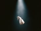 Ariana Grande eternal sunshine deluxe: brighter days ahead (Vinyl)