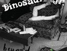 Dinosaur Jr. - Beyond Purple & Green Vinyl Edition (2007 - EU - Reissue)