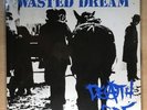 DEATH SIDE/Wasted Dream BEL12036 Used LP