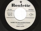 JIMMY LLOYD 45RPM '57 ROULETTE WHERE THE RIO DE ROSA FLOWS ROCKABILLY PROMO VG++