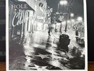 Hole - Celebrity Skin 7'' vinyl single 1998 Courtney Love Grunge Riot Grrl