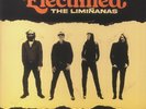LIMINANAS, The - Electrified: Best Of 2009-2022 - LIMITED ORANGE VINYL 3XLP