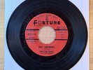 Doctor Ross Cat Squirrel/Sunnyland 45 Record Fortune Detroit Blues LISTEN  VG+