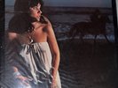 LINDA RONSTADT  HASTEN DOWN THE WIND Vinyl LP 1976 Record Gate Fold Album EX