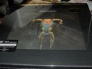 THE EAGLES ONE OF THESE NIGHTS LP MFSL ORIGINAL MASTER RECORDING SEALED # 2958