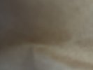 GraAbr FOGGY, CORNFLOWER, BTSPicDis, RyuSak, AlvNot LPs Inc P&p