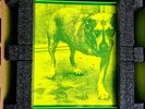 alice in chains self titled  / Tripod 30th Year Anniversary Boxset .
