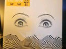 The Stereo Thirteen Vinyl 12