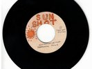 #9 REGGAE VINYL DUBPLATE 7