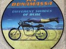 Joe Bonamassa Different Shades Of Blue Limited Picture Disc Vinyl + Promo Poster