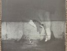 Ariana Grande - Petal - Exclusive Lenticular Cover Opal Girly Vinyl LP  IN HAND