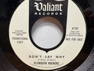 Garage Fuzz - PLYMOUTH ROCKERS - Don't Say Why - UNPLAYED 45 - VALIANT DJ -NM