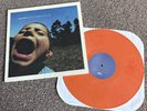 Have Heart Vinyl Bundle