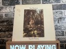 Van Morrison Tupelo Honey Vinyl Record LP USA Pressing VG+